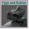 Eggs and Babies